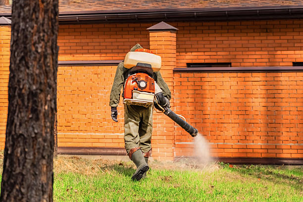 Bed Bug Clearance Verification and Documentation in Kane